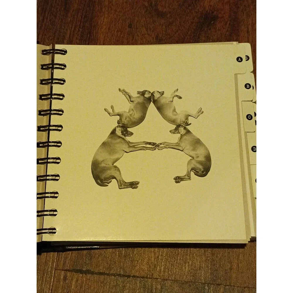 William Wegman's Fay's Friends Address Book